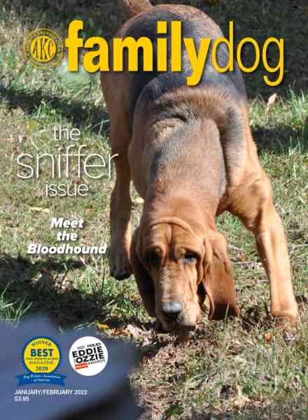 AKC Family Dog – January-February 2022 Cover