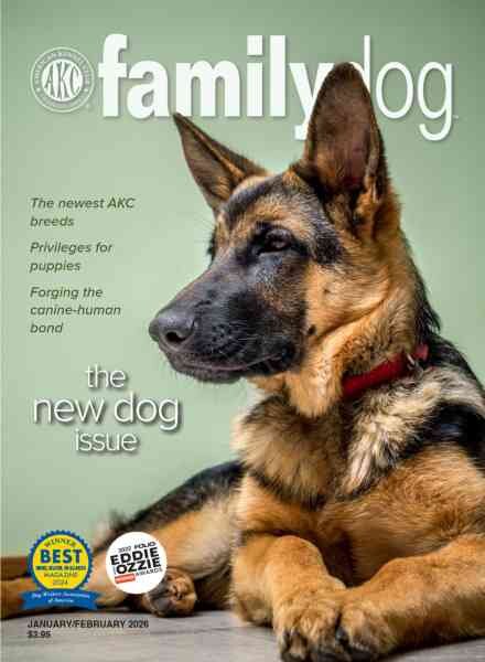 AKC Family Dog – January-February 2026 Cover