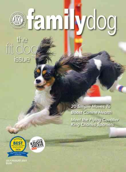 AKC Family Dog – July-August 2023 Cover