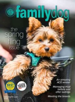AKC Family Dog – March-April 2025