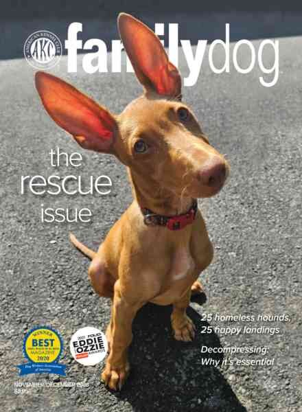 AKC Family Dog – November-December 2023 Cover