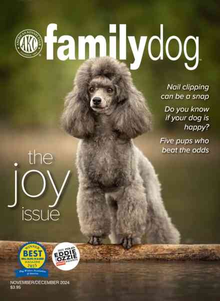 AKC Family Dog – November-December 2024 Cover