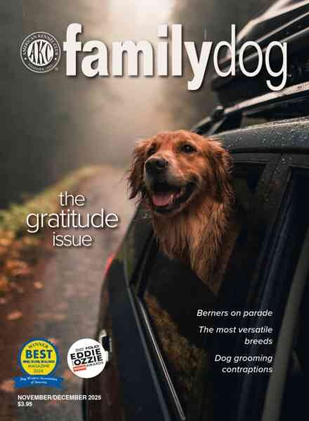 AKC Family Dog – November-December 2025 Cover