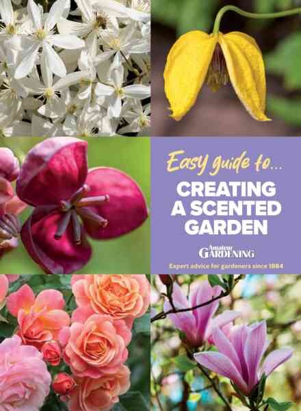 Amateur Gardening Easy Guide – Issue 14 2026 Cover