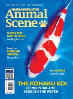 Animal Scene – July-August 2026