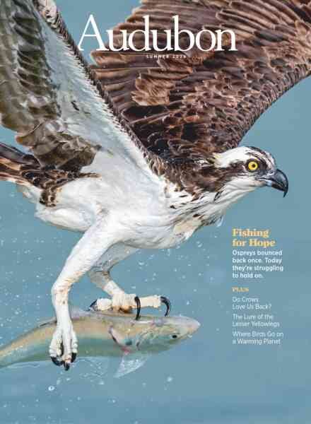 Audubon Magazine – Summer 2026 Cover