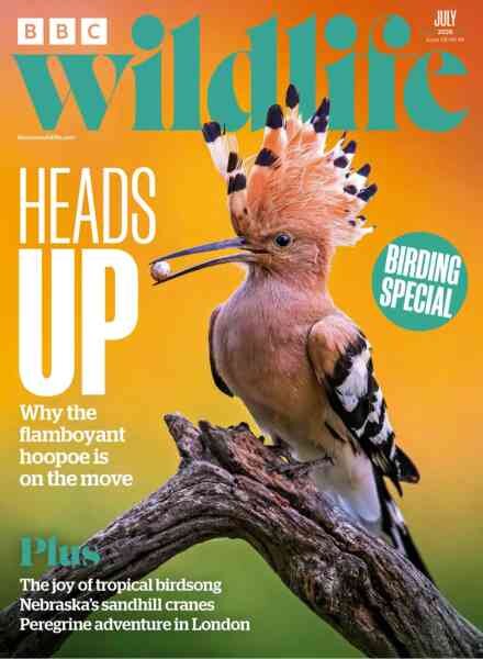 BBC Wildlife – July 2026 Cover