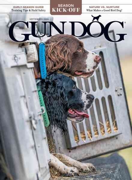 Gun Dog – September 2026 Cover