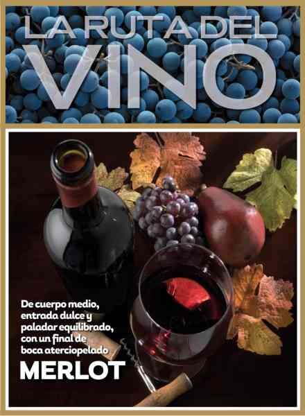 La ruta del Vino – Julio 2026 Cover