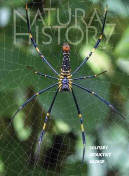 Natural History – June 2026