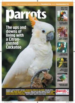 Parrots – July 2026