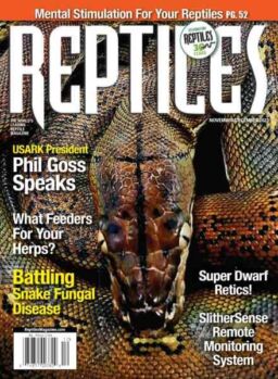 Reptiles Magazine – November-December 2023